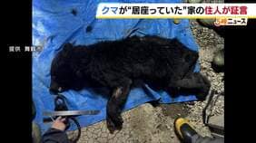 自宅の軒下を覗くと親グマ　住人が語る当時の状況「さっと見た時は犬か猫かと思った」2頭を緊急銃猟するも…もう1頭が近くに出没か　京都・舞鶴市|TBS NEWS DIG