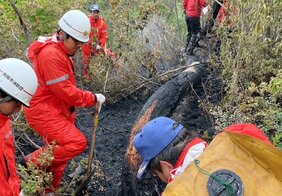 【鎮火】山形県南陽市の山火事　発生から9日目で鎮火　消防が発表|TBS NEWS DIG