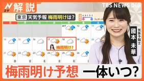 週末は梅雨空戻る、梅雨明け予想&nbsp;一体いつ？、「梅雨明け十日」に注意【Nスタ解説】|TBS NEWS DIG