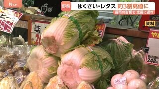来月は白菜やレタス、ピーマンなどが高騰か　各地で続く長雨の影響| TBS CROSS DIG with Bloomberg