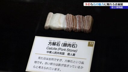 見た目はまるで豚肉や絵画のよう 県立博物館でユニークな「石」550点を