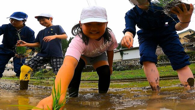 小学生と高校生が協力して田植え 米の大切さを学ぶ 大分|TBS NEWS DIG