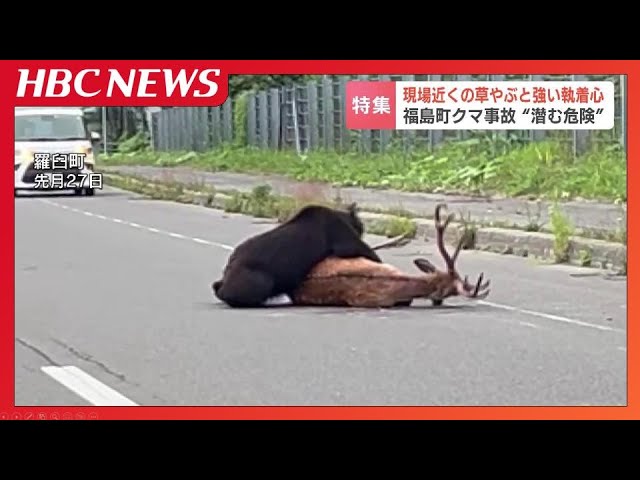 「完全に肉食動物の状態になっている」新聞配達中の52歳男性死亡のクマ事故“生ごみ”に対する執着心のスイッチが入った…専門家が見た予兆と危険|TBS NEWS DIG