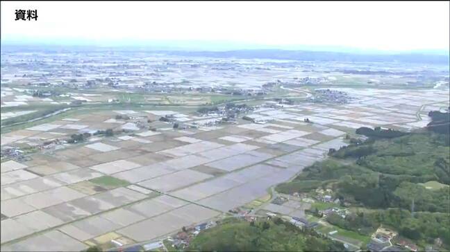 県内の田植え　5月24日に「ほぼ終了」平年より２日遅い　今後は水温管理やいもち病対策を　宮城|TBS NEWS DIG