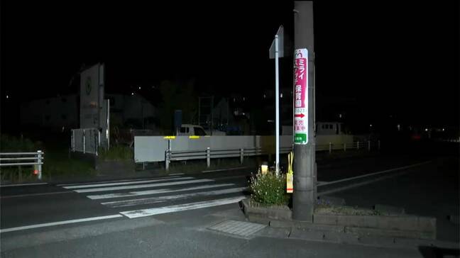 男子児童（10）が横断歩道でけが　ひき逃げ事件として捜査　鹿児島市中山2丁目の県道|TBS NEWS DIG