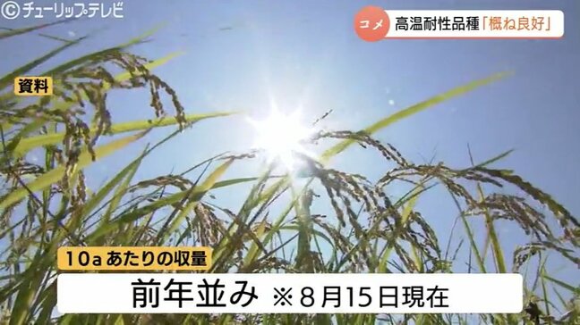 富山県産米「てんたかく」「富富富」は概ね良好　コシヒカリに白未熟粒など　収量は前年並みと予想|TBS NEWS DIG
