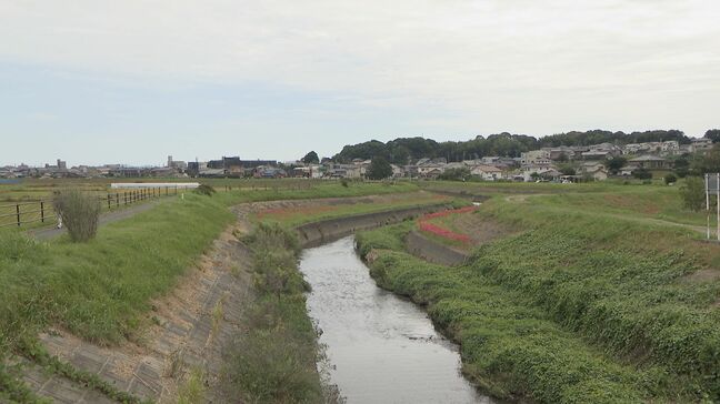 猛暑で“秋の風物詩”彼岸花が咲かない…開花の遅れから延期になった秋祭りがきょうから開催　愛知・半田市|TBS NEWS DIG
