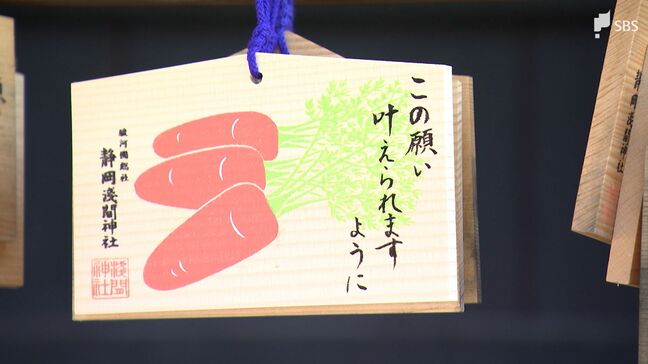 "馬に願う"と願いが叶う？2026年の干支は「午」！ 家光公ゆかりのパワースポット・静岡浅間神社で「叶え馬」【くるちゃんさんぽ】|TBS NEWS DIG