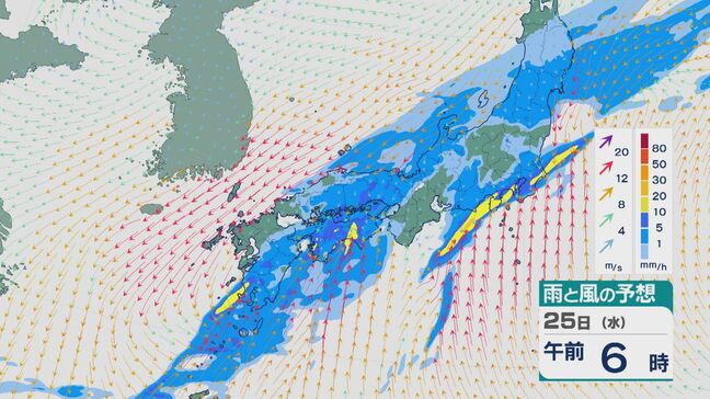 25日(水)は低気圧や前線の影響で西日本から東日本で大気の状態が非常に不安定に 乾燥が続く関東などでは「恵みの雨」に 雨と風シミュレーション|TBS NEWS DIG