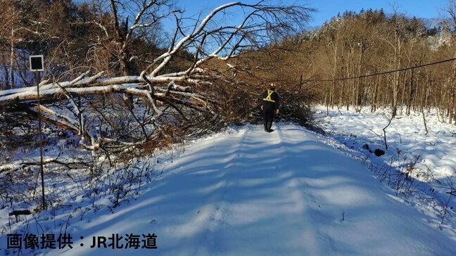 【JR北海道】大雪で被災した釧網線の一部、花咲線全線が運転再開へ「安全を最優先に復旧作業進める」|TBS NEWS DIG