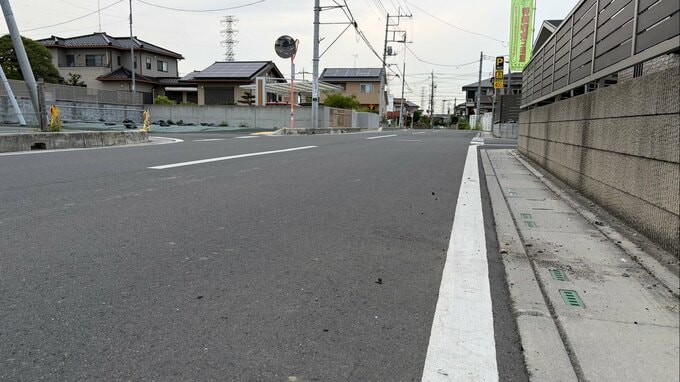 埼玉・幸手市で高齢女性が車にひかれ死亡　ひき逃げ事件として捜査　埼玉県警|TBS NEWS DIG