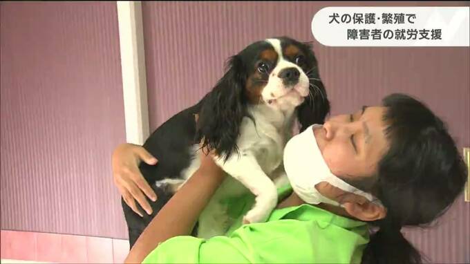 「工賃が増えれば生活の選択も増える」“保護犬の世話と障害者の就労支援”両立目指す取り組みとは？|TBS NEWS DIG