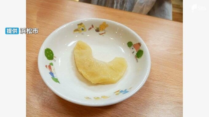 こども園の0歳児、煮リンゴ喉に詰まらせ意識不明 市は保護者からの連絡で把握 園は食材の提供方法など保護者に確認せず＝浜松市|TBS NEWS DIG