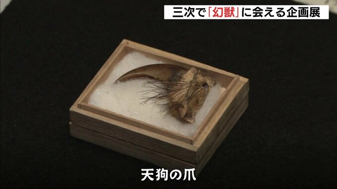 天狗の爪に人魚のミイラ…そしてヒバゴンも　幻獣の世界へ誘う企画展　「もののけミュージアム」で開催　「想像を膨らませながら見て」広島県三次市　|　RCC NEWS | 広島ニュース | RCC中国放送