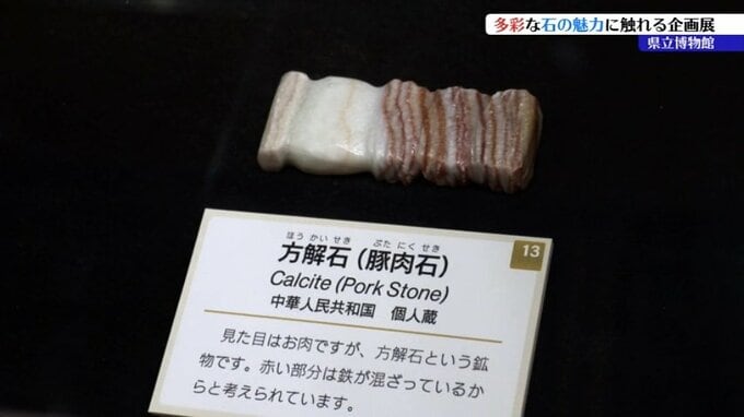 見た目はまるで豚肉や絵画のよう？　岩手県立博物館でユニークな「石」550点を展示|TBS NEWS DIG