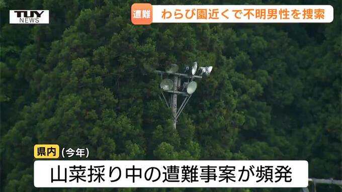 おとといから行方不明の男性　きょうの捜索でも見つからず　山菜採りに行き遭難か（山形・鶴岡市）　|　山形のニュース│TUYテレビユー山形