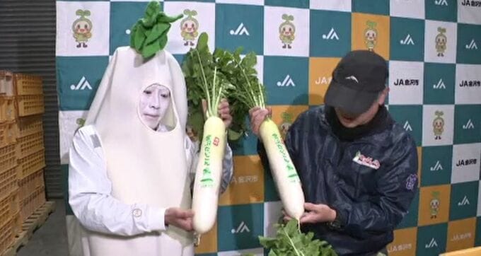 葉がついたまま出荷される冬作の金沢だいこんが初出荷　例年以上の品質に　|　石川県のニュース｜MRO北陸放送