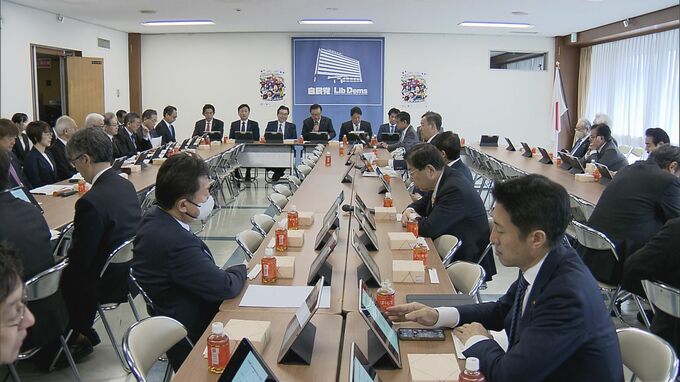 「事業主の負担増に支援を」年金改革法案めぐり自民党が合同会議　労働組合など関係団体からヒアリング