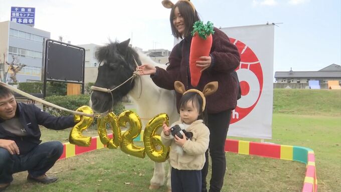 ２０２６年は午年　鳥取市のわらべ館　馬とふれあうイベント開催|TBS NEWS DIG