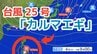 【台風情報】11月に台風発生「台風25号（カルマエギ）」今後の進路は？全国各地の雨風シミュレーション・16日間天気予報【気象庁 11月3日午後3時45分発表】　|TBS NEWS DIG