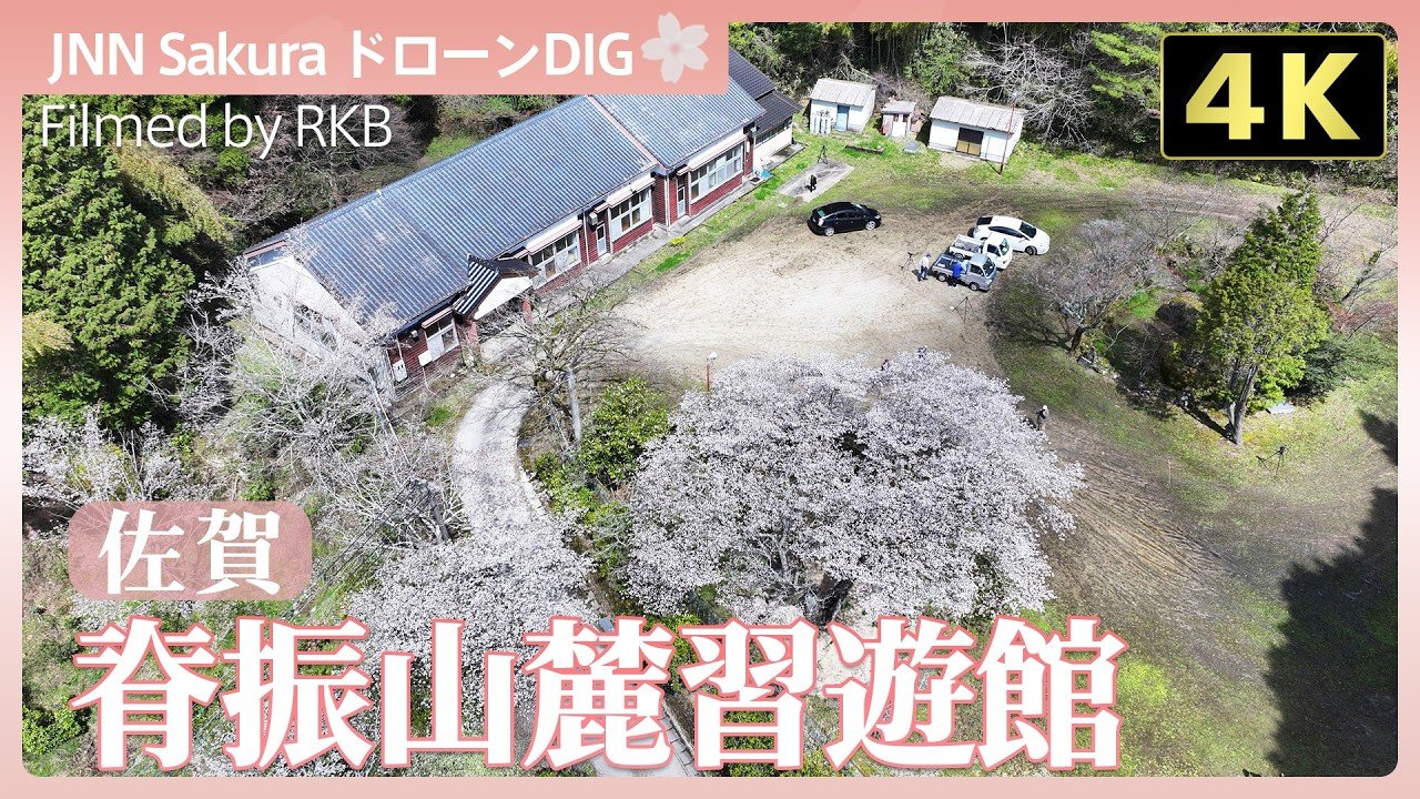 4K】山間の廃校の一本桜【JNN sakuraドローンDIG 2026】 | TBS NEWS DIG