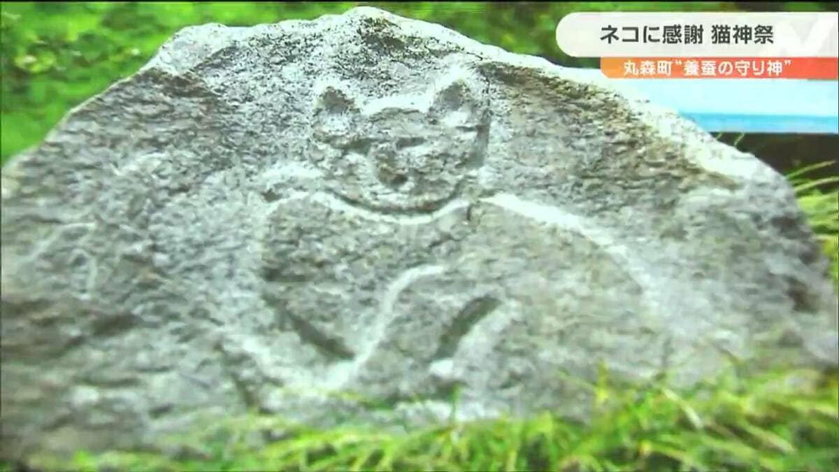 ネズミから蚕・繭を守った「猫は神様です」養蚕で栄えた丸森町で“猫