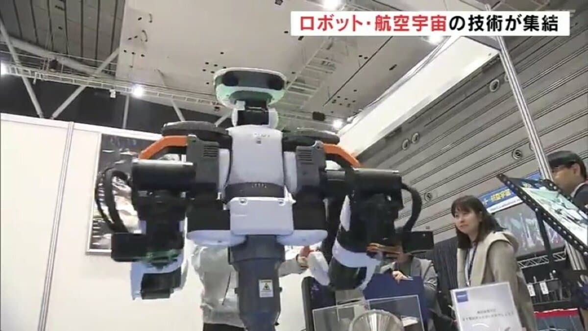 img_1f3d5b2e957773fd13e6aebaab