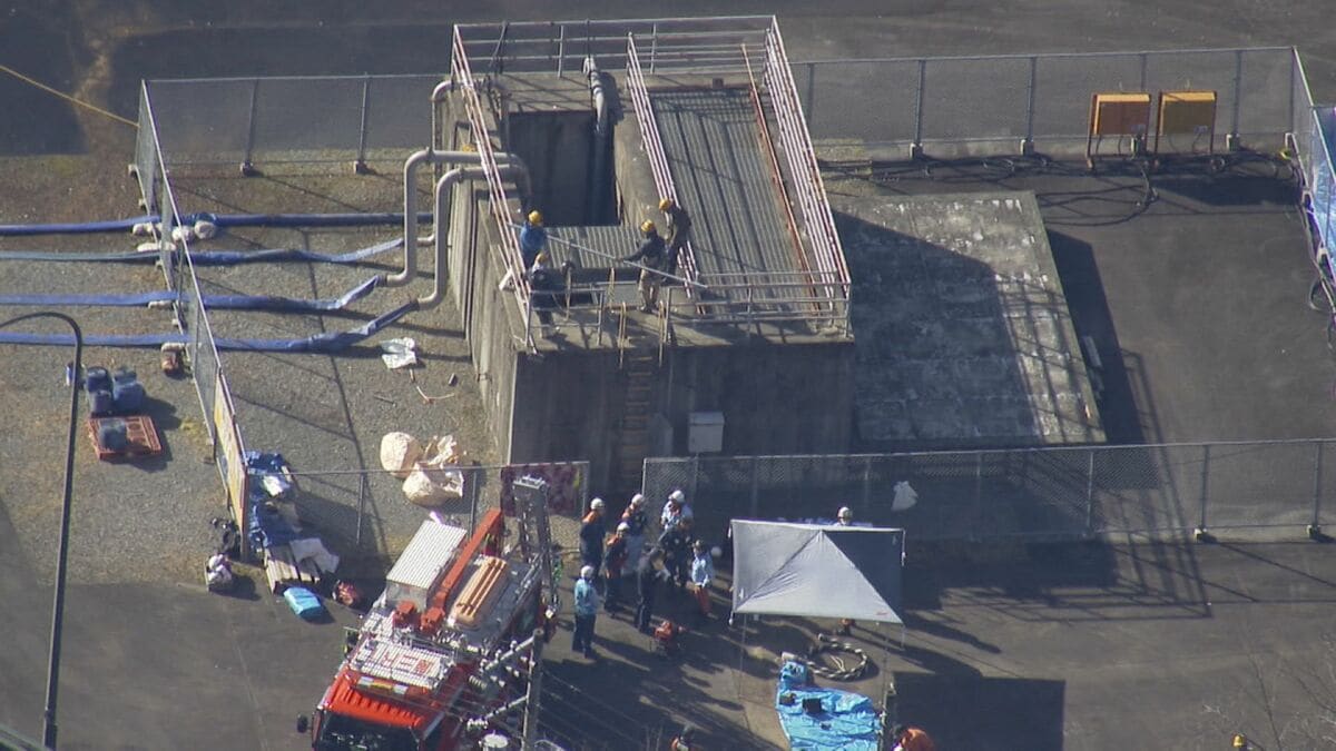 img_1f56c7891c4625f1c4e14e939c