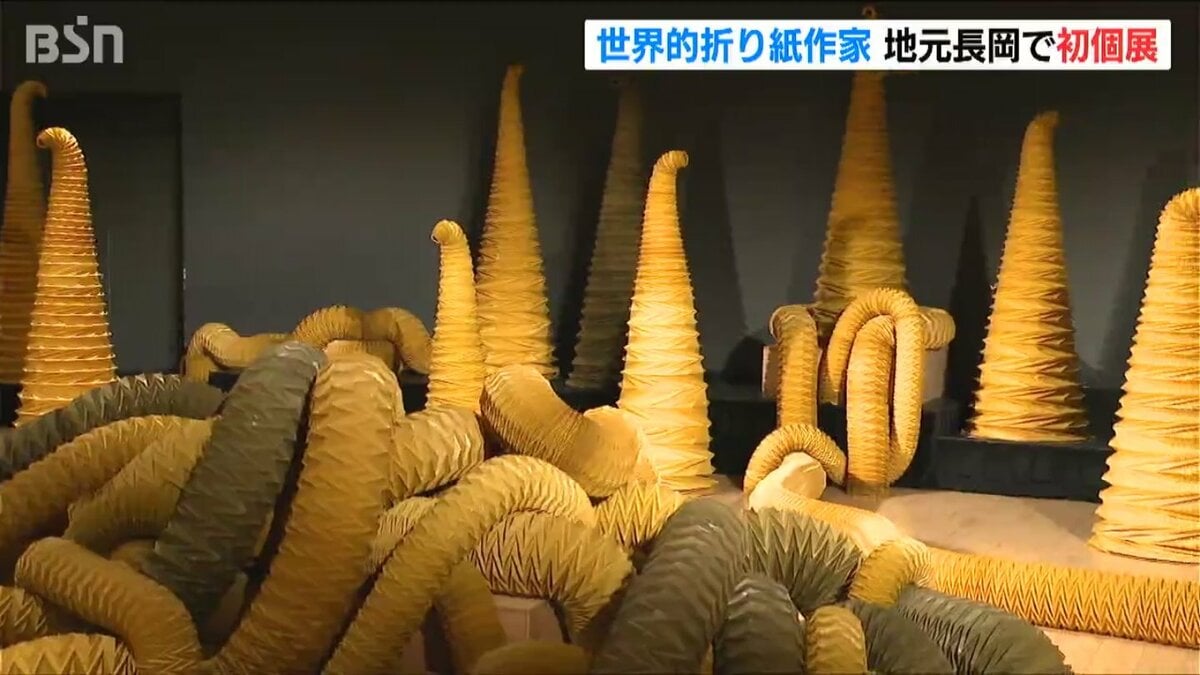 今まで誰も見たことない“折り紙”の世界を」ユニット折りの折り紙