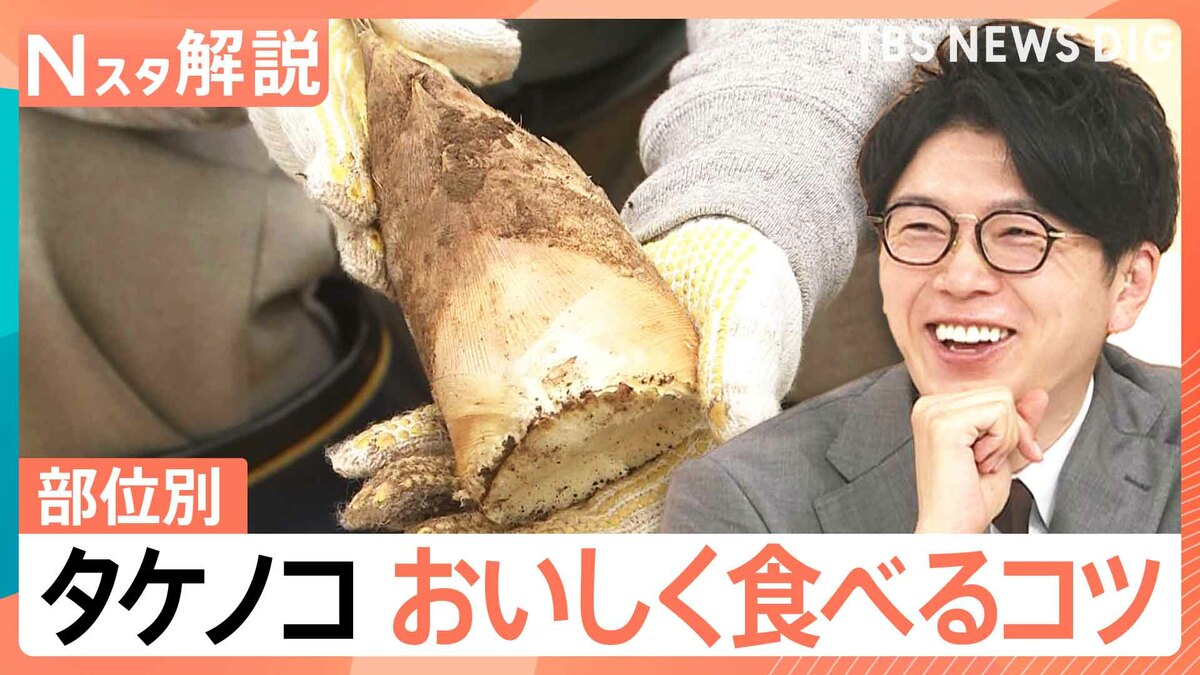 今年はタケノコ「表年」で豊作？ えぐみを抑える選び方と“米ぬか不要