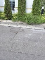 車道で段ボール1束が焼ける火事　不審火か　仙台・泉区　|　宮城のニュース│tbc NEWS│tbc東北放送