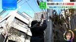 “電柱を撮る”だけでAmazonギフト券がもらえる「ピクトレ」って何?その狙いは…?【THE TIME,】|TBS NEWS DIG