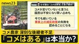 備蓄米の放出で価格どうなる？「全然儲かっていない」農家を取材して見えてきた『構造的な問題』【news23】|TBS NEWS DIG