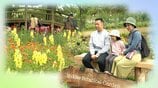 【牧野植物園】今年のGWは1万3861人が来園、去年比+495人…最終日6日も開園前から行列、キンギョソウ・ネモフィラ…2万株の花を楽しむ　|　高知のニュース・天気｜KUTV NEWS | KUTVテレビ高知