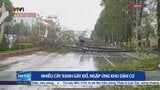 台風20号がベトナム直撃…竜巻も発生 13人死亡46人負傷|TBS NEWS DIG
