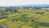 農地の大区画進める協議会設立　宇佐で事業推進へ　大分|TBS NEWS DIG
