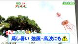 「午後はにわか雨や雷雨のおそれ、東部で南よりの風がさらに強まる」tbc気象台 27日|TBS NEWS DIG