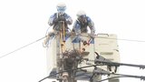 電柱のカラスの巣が停電原因に 九州電力送配電が撤去作業 子育てで営巣時期迎える | 大分のニュース|OBS NEWS|大分放送