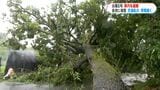 台風6号鹿児島県縦断ドキュメント 奄美群島で2万5240戸停電 与論町では浄水場が破損し臨時給水所を設置|TBS NEWS DIG