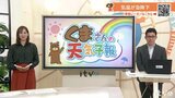 24日(水)にかけて山地を中心に大雪 南予の平地でも大雪のおそれ 気象予報士が解 | 愛媛のニュース - Nスタえひめ|あいテレビは6チャンネル