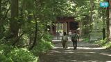 戸隠神社奥社の参道で観光客など11人がハチに刺される 小学生含む4人搬送も軽症 杉の幹にスズメバチの巣 長野 | SBC NEWS | 長野のニュース | SBC信越放送
