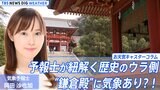 頼朝&坂東武者 躍進の背景に気象あり?!予報士が紐解く歴史のウラ側【岡田沙也加のお天気コラム】|TBS NEWS DIG