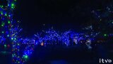 中山池自然公園を彩る約10万球のイルミネーション(愛媛・宇和島市) | 愛媛のニュース - Nスタえひめ|あいテレビは6チャンネル