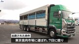 東京食肉市場へ12頭を初出荷 地元誇るブランド「前沢牛」の高値と事業発展をJAや生産者ら祈願 岩手・奥州市|TBS NEWS DIG