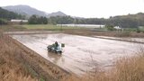 「農家なのにお米がない、こんなことがあっていいの」 福岡で「早期米」の田植え始まる 9月上旬ごろ収穫、出荷へ|TBS NEWS DIG