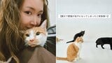 【 熊本地震 】〝震災で愛猫が迷子になってしまったご家族様へ〟紗栄子率いる保護猫支援活動が〝探すためのポイント〟呼びかけ【 全文掲載 】|TBS NEWS DIG