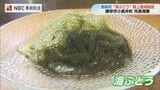 沖縄だけじゃない 諫早で育つ「海ぶどう」長崎県内初の陸上養殖施設を市長が視察|TBS NEWS DIG