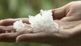 【動画あり】「屋根にカンカン当たる音」高知県で降雹(ひょう)か…引き続き大気の不安定な状態続く|TBS NEWS DIG