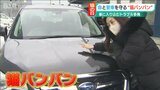 『猫バンバン』で猫の命と愛車を守りたい… 多発する“車に入り込むトラブル”に注意!|TBS NEWS DIG