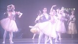 「1回限りの感動が最大の魅力」清里フィールドバレエ 自然、ダンサー、ボランティアが作り出す 真夏の夜の舞台が26日に開幕 山梨|TBS NEWS DIG